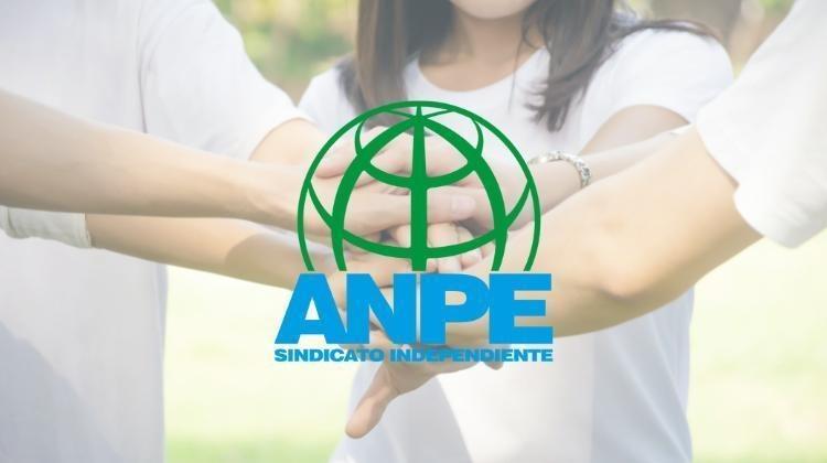 adaptacion_pruebas_pau_acceso_universidad