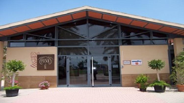 ceip_49_elche